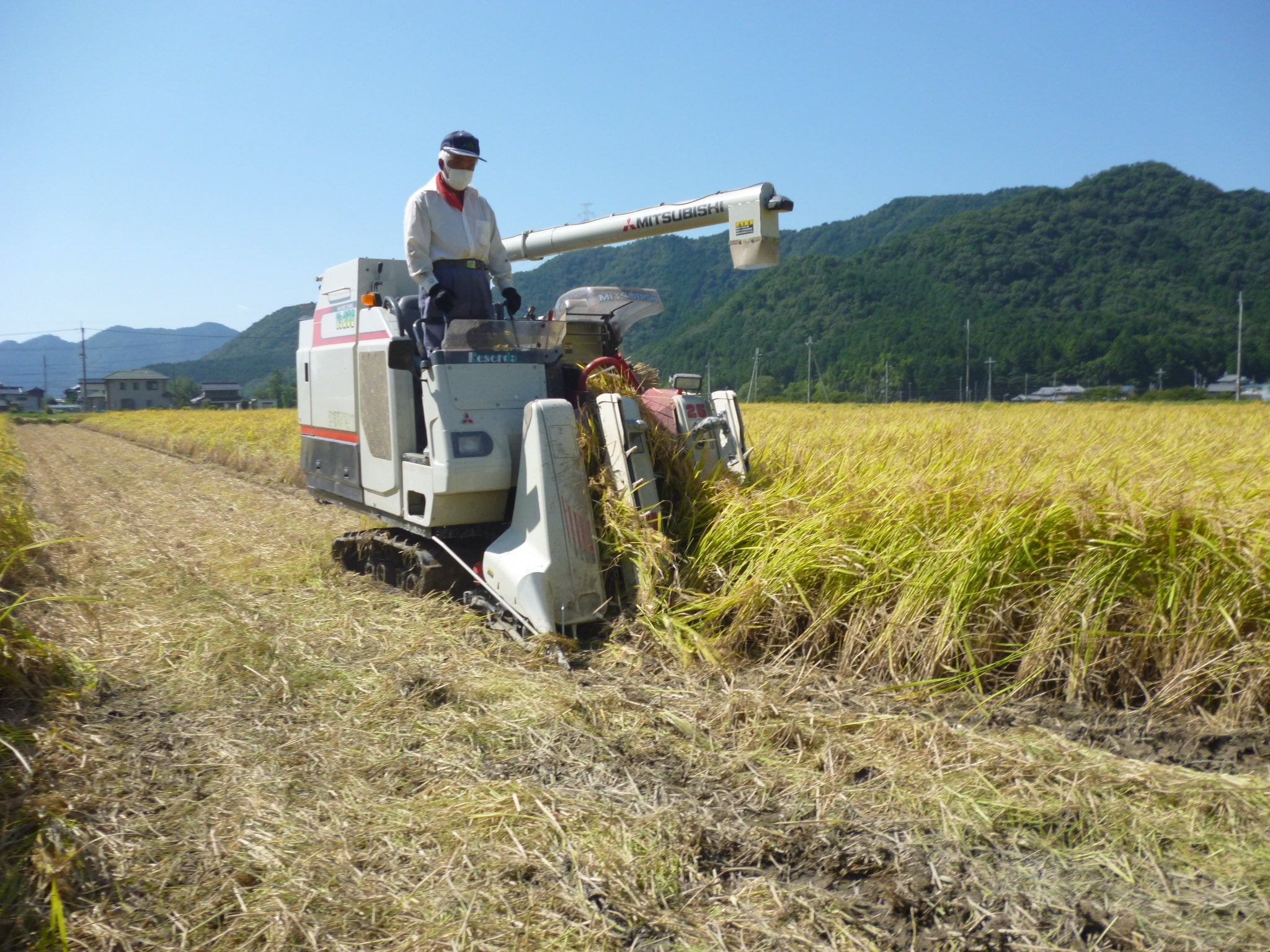 丹波産コシヒカリ｜野垣米、こだわりコシヒカリ米 西日本トップ