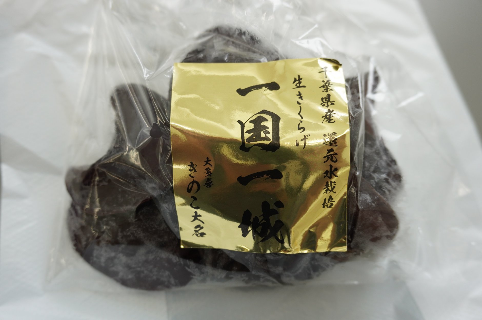 千葉県大多喜町|純国産きくらげ通販君塚きのこ園|木耳狩りが 千葉県大多喜町|純国産きくらげ通販君塚きのこ園|木耳狩りが