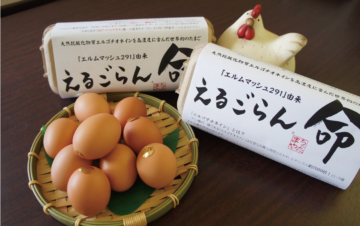 gallery_20230502_202321_329_OR