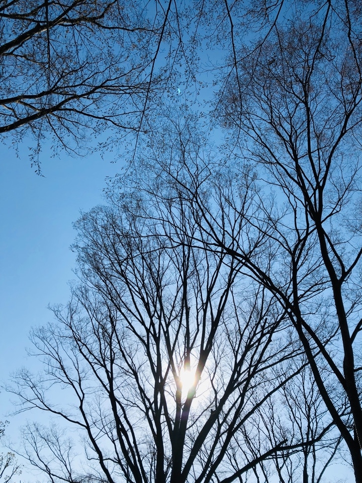 小さくコツコツ習慣が→基礎体力に☺︎