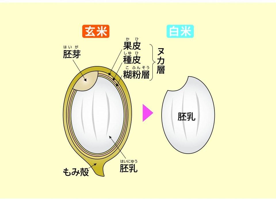 9月15日（火）の午前中は臨時休診とさせていただきます。