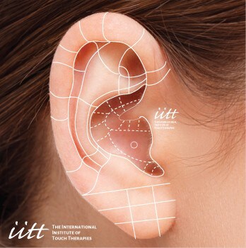 イヤーリフレクソロジー（耳の反射療法）
