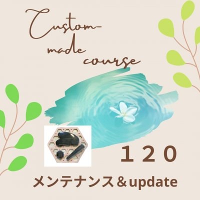 【オーダーメイドコース】メンテナンス＆update120
