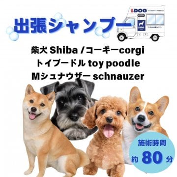 柴犬/コーギー/トイプードル/Mシュナウザーのシャンプー(80分)|オープン記念価格