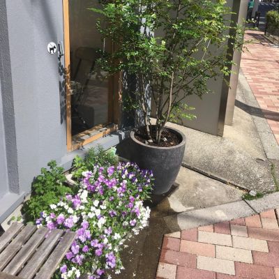 たけのこごはん最終です!