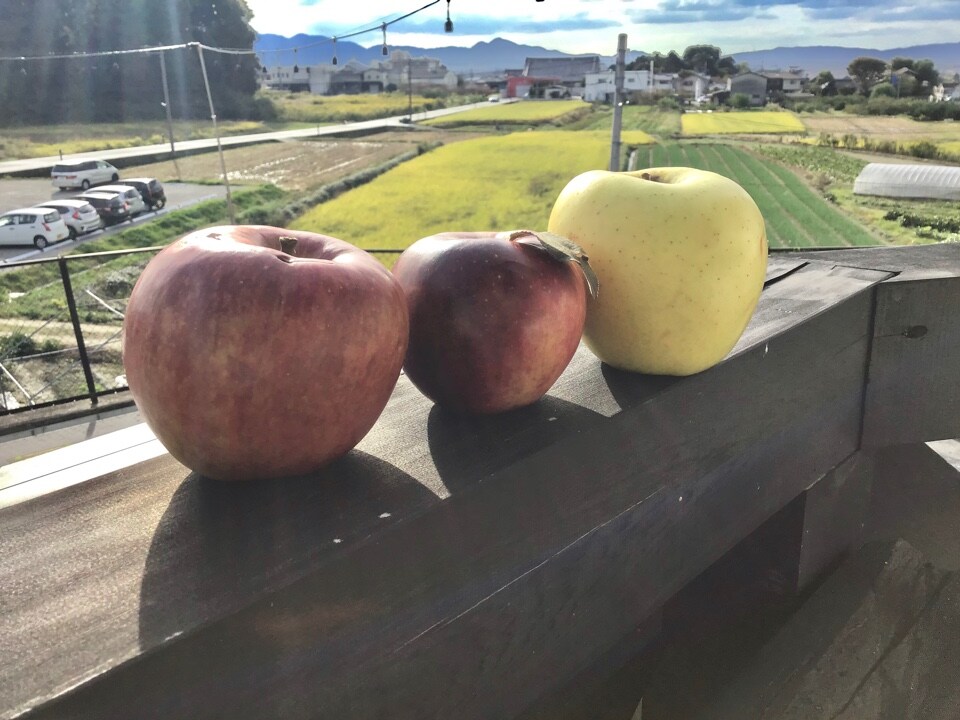 🍎りんごの季節がやってきました🍎