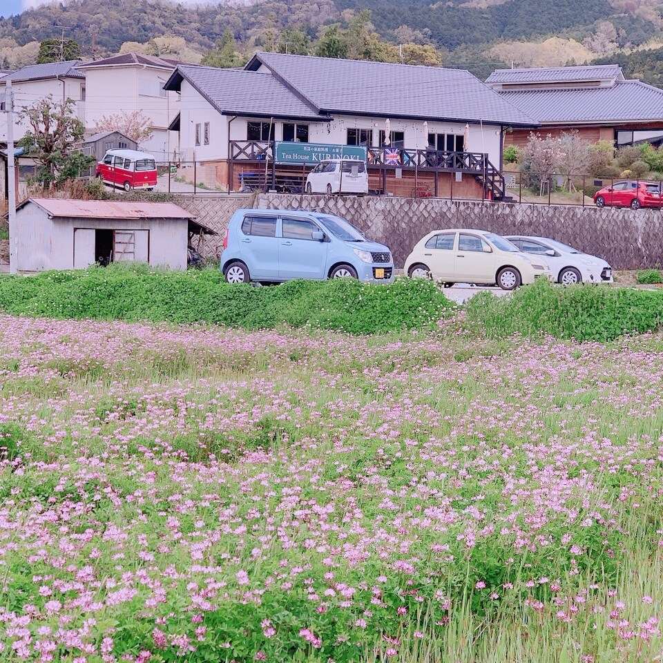 🔱小規模・戸外で！やっぱりやります スプリングマルシェ開催のお知らせ🔱
