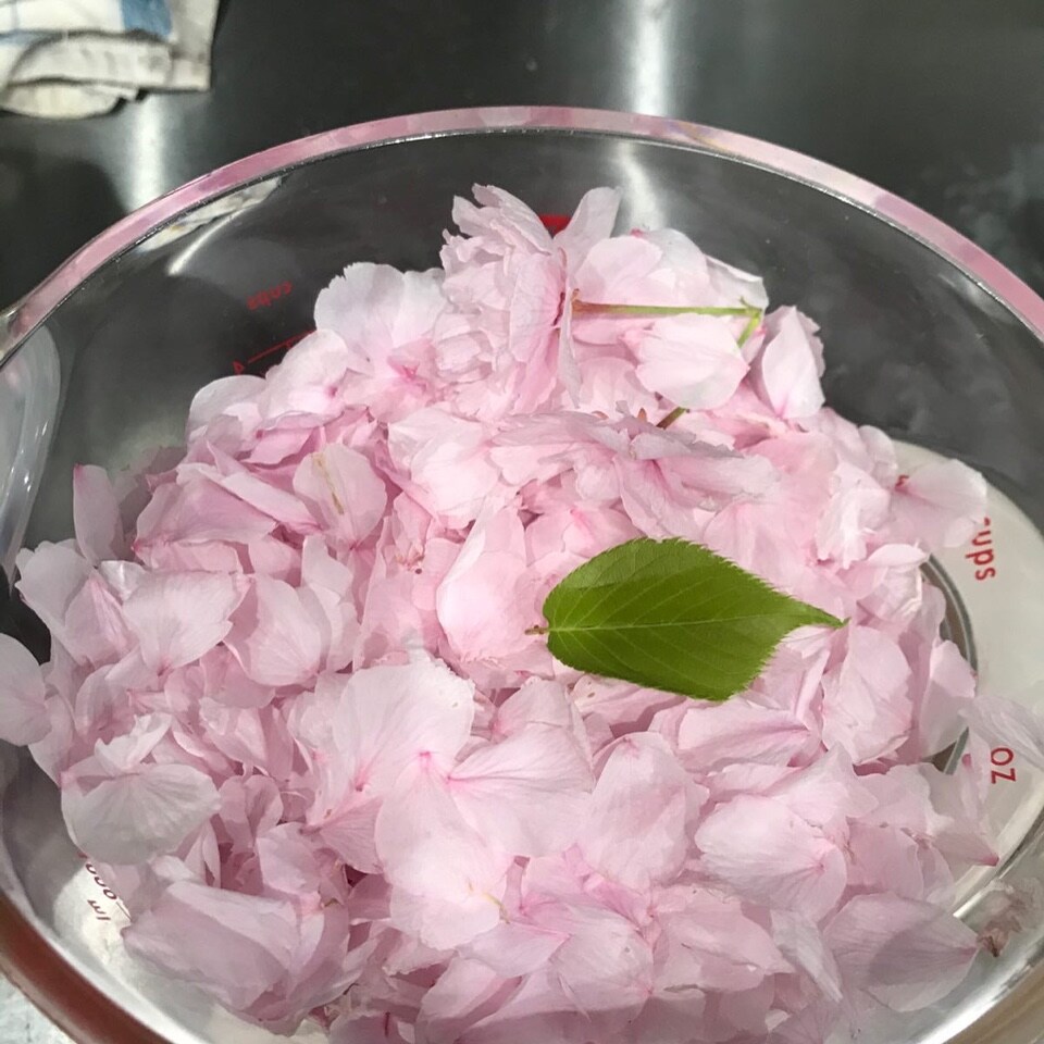 🔱庭の桜の『サクラジャム』🔱