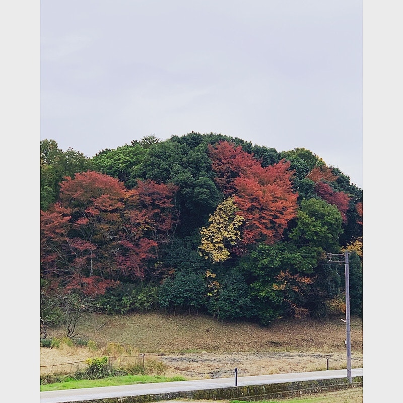 🔱秋も深まり・・・KURINOKIから見える景色🔱