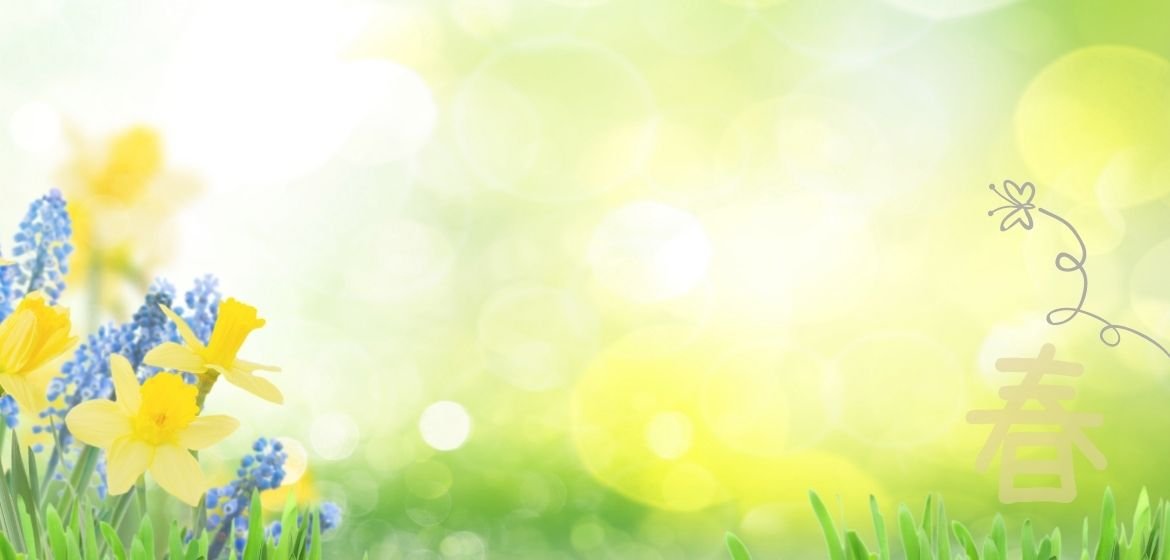 Tellus大地の女神 メディカルハーブ シニアハーバルセラブレンドするハーブ ティー通販 丹波市産カモミール 農薬 化学肥料不使用 ワークショップ開催しています