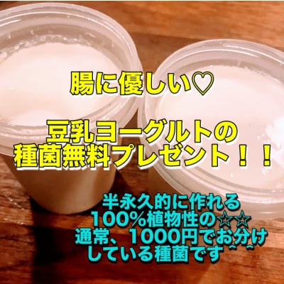 2020年2月28日まで!腸に優しい☆半永久的に作れる100%植物性の豆乳ヨーグルトの種菌を無料プレゼント致します!