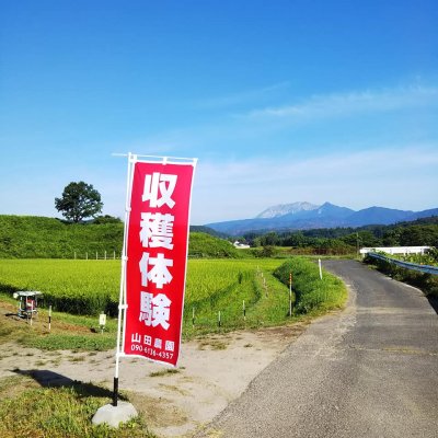 収穫体験割引クーポン