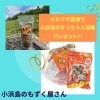 【数量限定】小浜島のさっちゃん黒糖プレゼント！