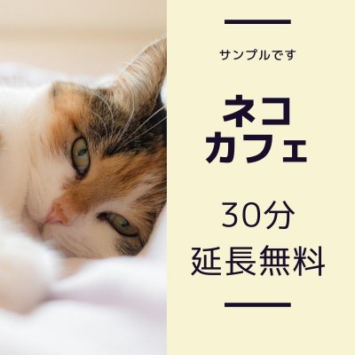 ○○猫カフェで使える30分延長無料クーポン