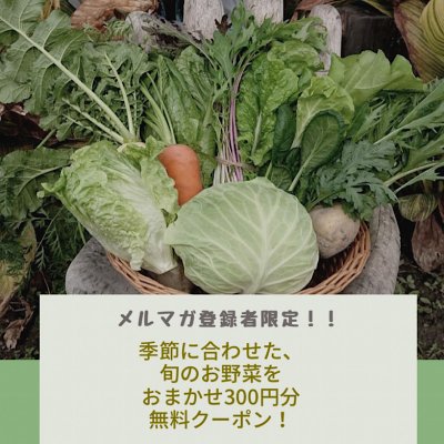 旬のお野菜おまかせ300円分無料クーポン