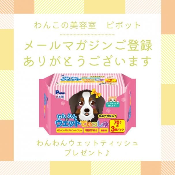 coupon_thumnail