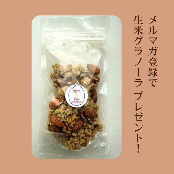 【メルマガ登録特典】生米グラノーラ(ミニサイズ) 1袋プレゼント！