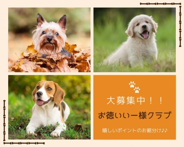 メルマガ無料登録来店者限定クーポン