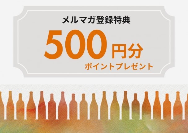 500ポイントプレゼントクーポン