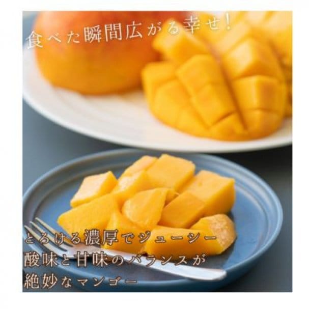 沖縄県産カットマンゴープレゼント❗️