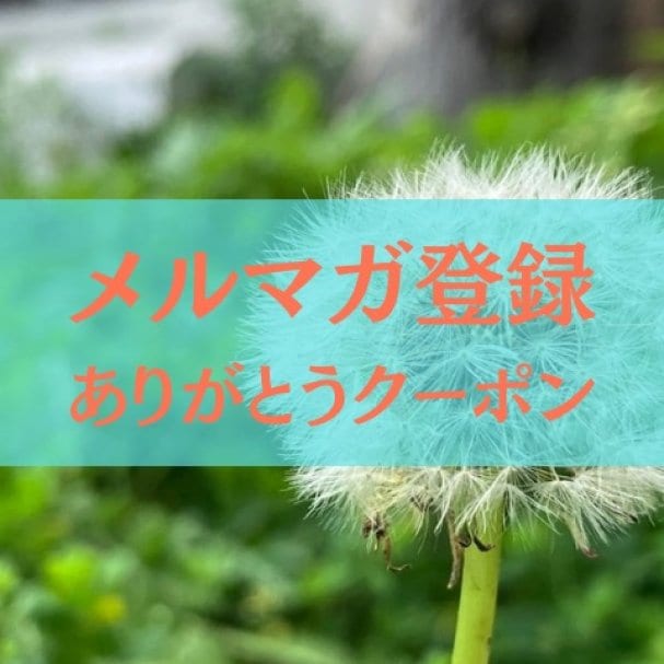 アクセスバーズ　10%offクーポン