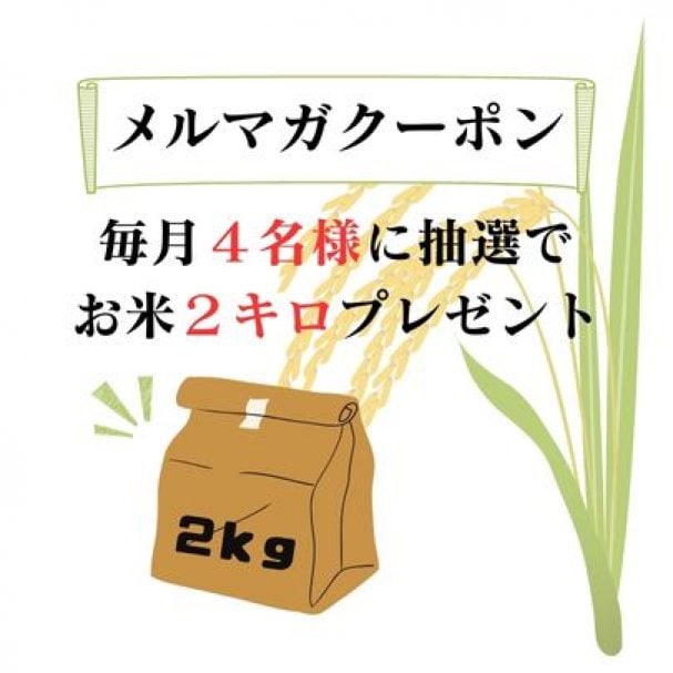 【お米プレゼント】毎月４名様に抽選で玄米２ｋｇプレゼント