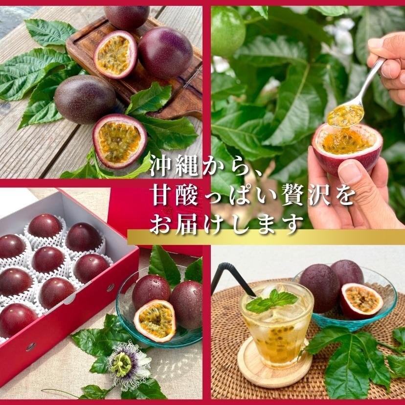 Natural Passion 沖縄（ナチュラルパッションオキナワ