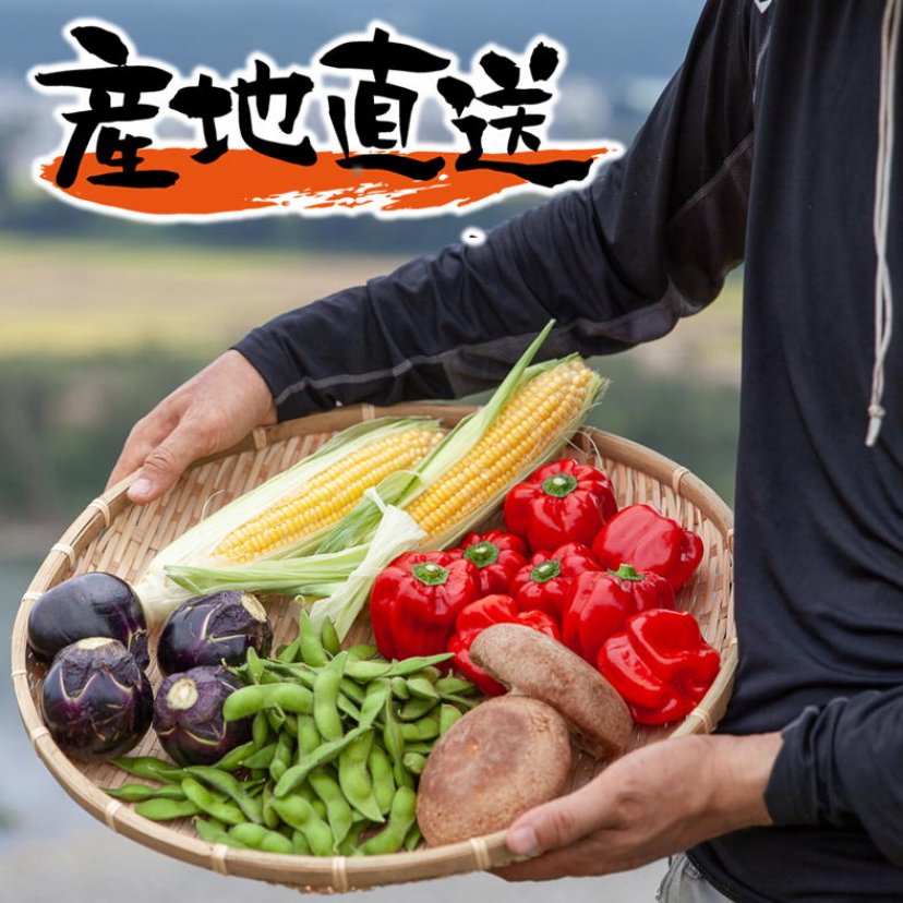 かおりん様　予約分　魚沼 かおりん様 予約分 魚沼
