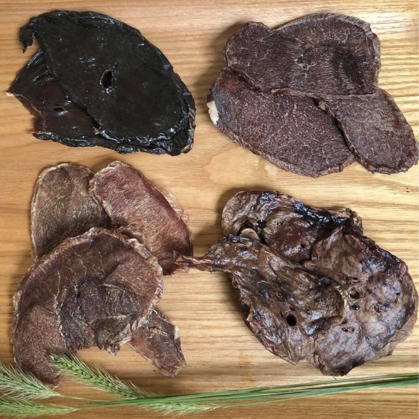 美品】専門店作製 三味線 約11万円！細棹 正寸 一本溝 2022年製 犬皮 