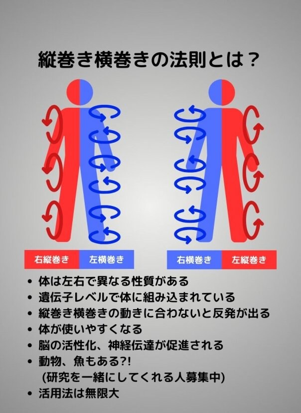 縦巻き横巻きの法則 - 本