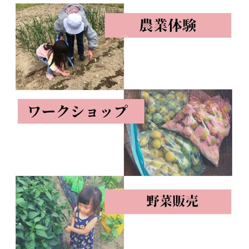 親子の心と体を育てる【hauoli】あずちゃんふぁーむ.愛知