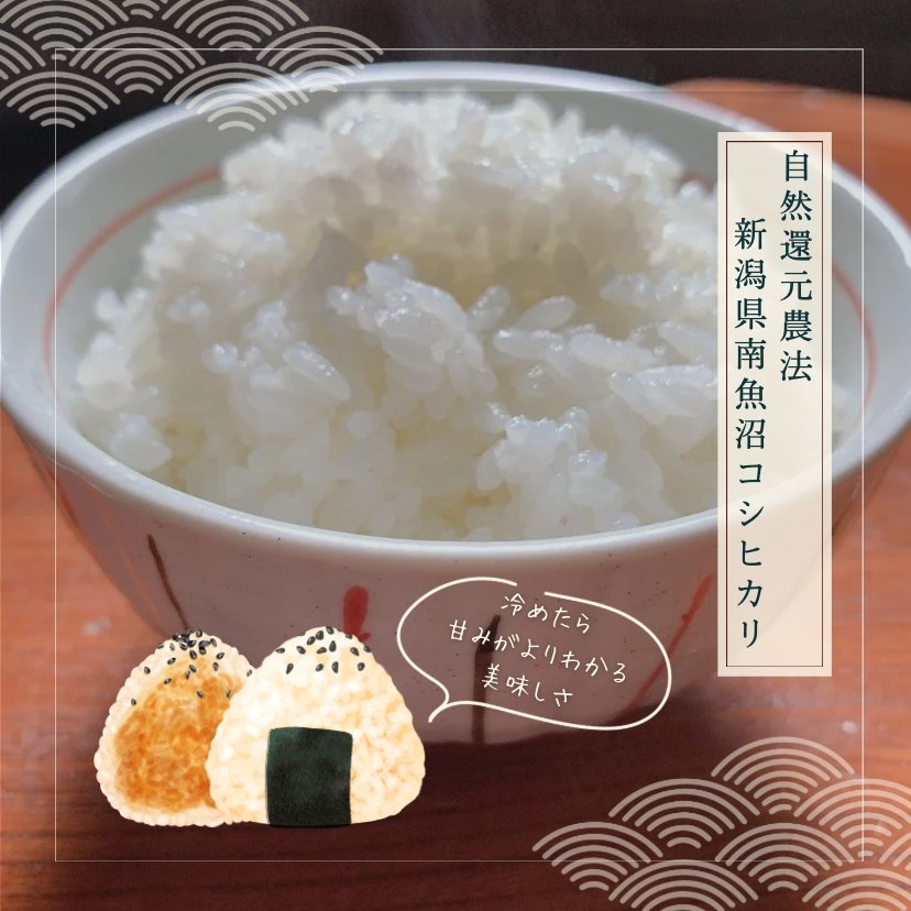 ひろみ様専用 コシヒカリ