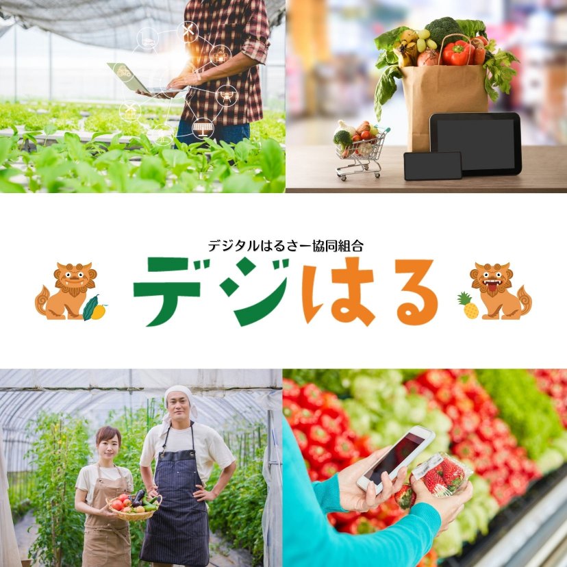 Digital Halusa協同組合｜デジはる