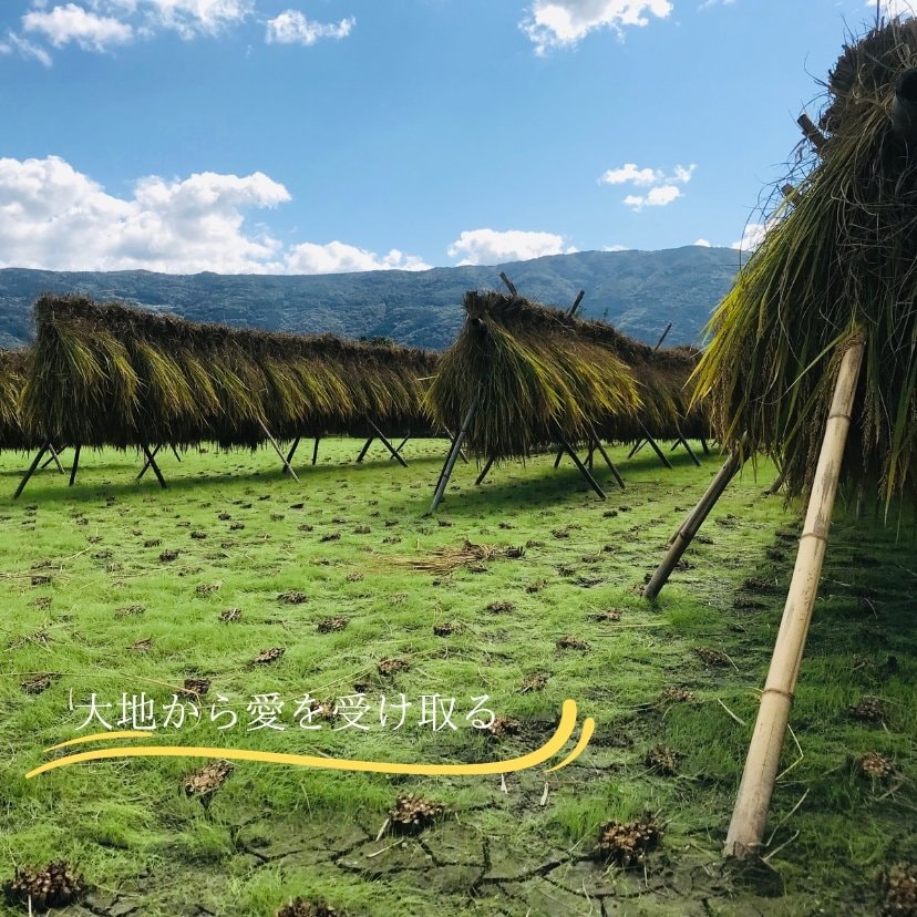 Kotorine（ことりね）徳島県美馬市の自然栽培農家