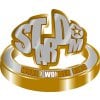 スターダム