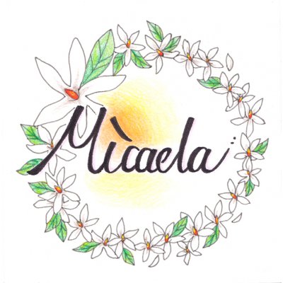 salon micaela