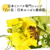日本ミツバチ専門ショップ