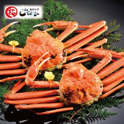 越前がに・一夜干し通販│網元直営!越前町 福丸ごーじょーもん