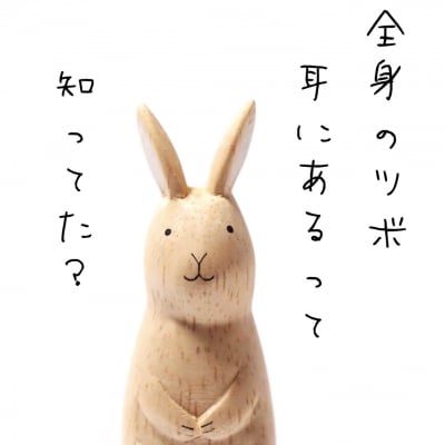 耳ソロジー・バッチフラワー〜自然療法ナチュロパシースクール〜