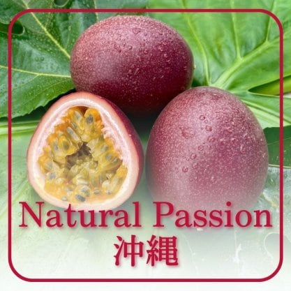 Natural Passion 沖縄（ナチュラルパッションオキナワ）