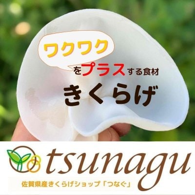 【佐賀県産きくらげショップ】tsunagu-つなぐ-