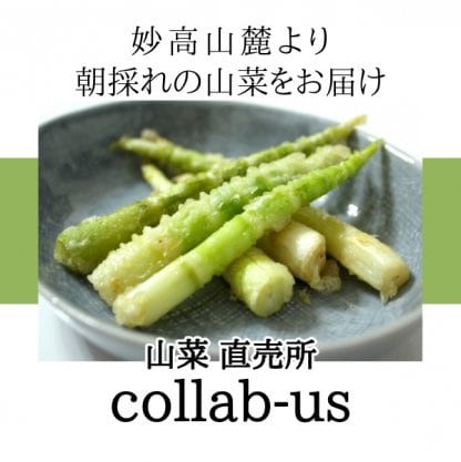 山菜直売所 collab-us