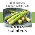 collab-us/コラバス