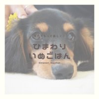 わんこのお総菜屋さん　ひまわりいぬごはん