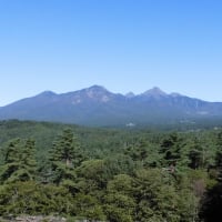 成駒屋/八ヶ岳から「美味しい」をおすそわけ/農家直送/山梨県北杜市