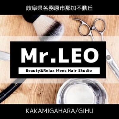 【Mr.LEO】ミスターレオ