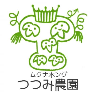 ムクナ豆(八升豆)の熊本県産１００％なら｜｜ムクナ木ング つつみ農園