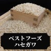 ベストフーズハセガワ