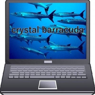 crystal barracuda/ｸﾘｽﾀﾙﾊﾞﾗｸｰﾀﾞ                                                                                　　　　      　　　　　　                                          　　　　　　　　　　　　　　　　　　　　　　　　