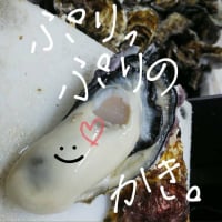 （有）木村水産| 広島県江田島産の海のミルクをお届けします|牡蠣